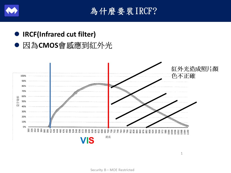 BCG介紹